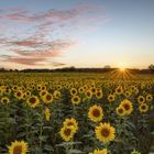 Sommer Sonnenuntergang in der Südeifel!