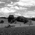 Sommer-Staub-Wolken