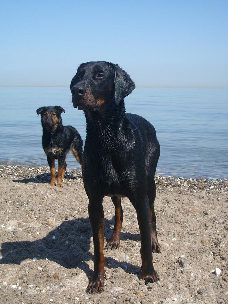 Sommer Strand