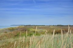 Sommer -Strand Insel Hiddensee