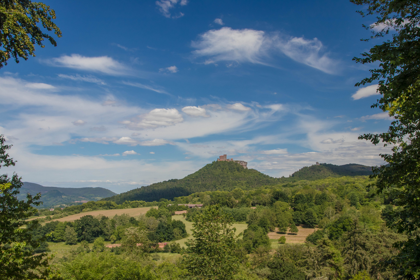 Sommer - Trifels