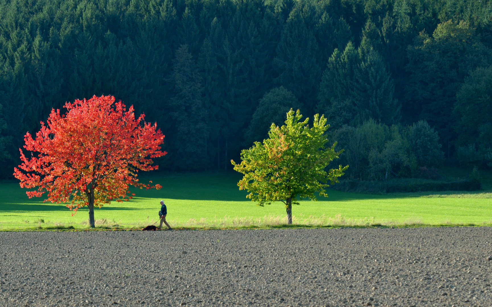 Sommer trifft Herbst