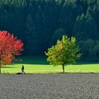 Sommer trifft Herbst