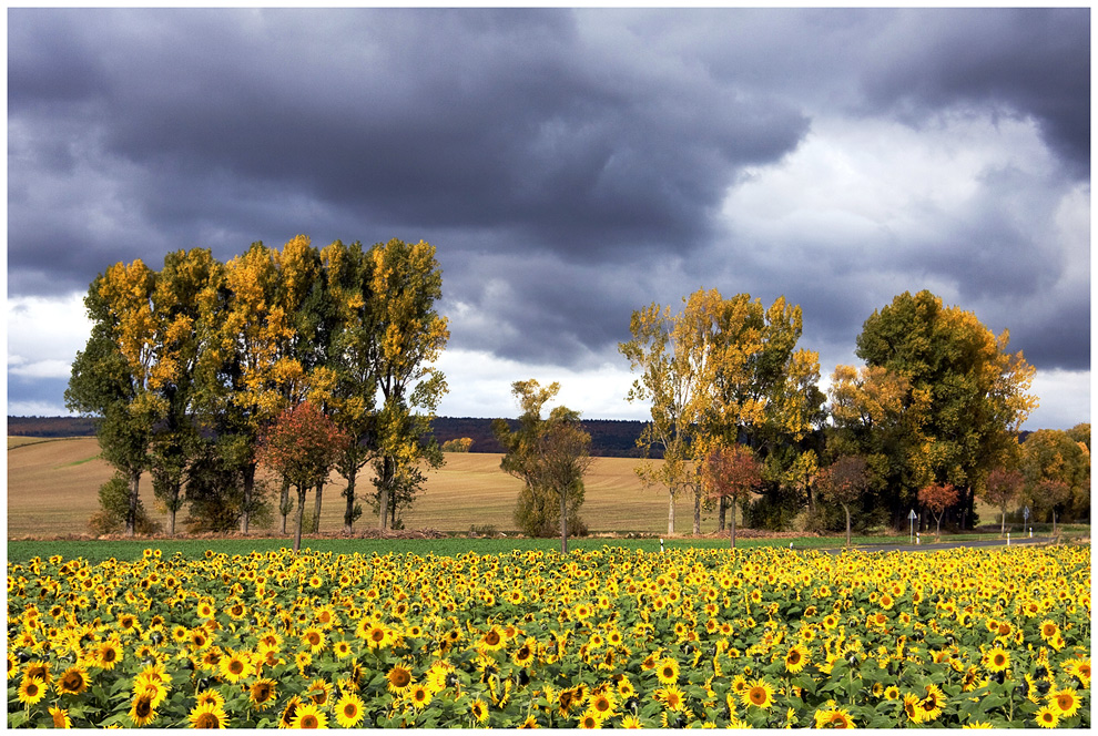 Sommer trifft Herbst (2)