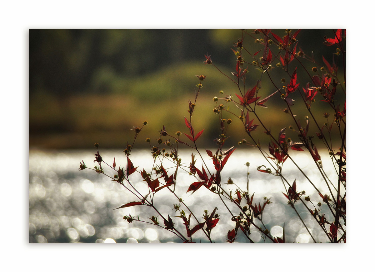 Sommer trifft Herbst ....