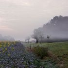 Sommer trifft sich mit Herbst