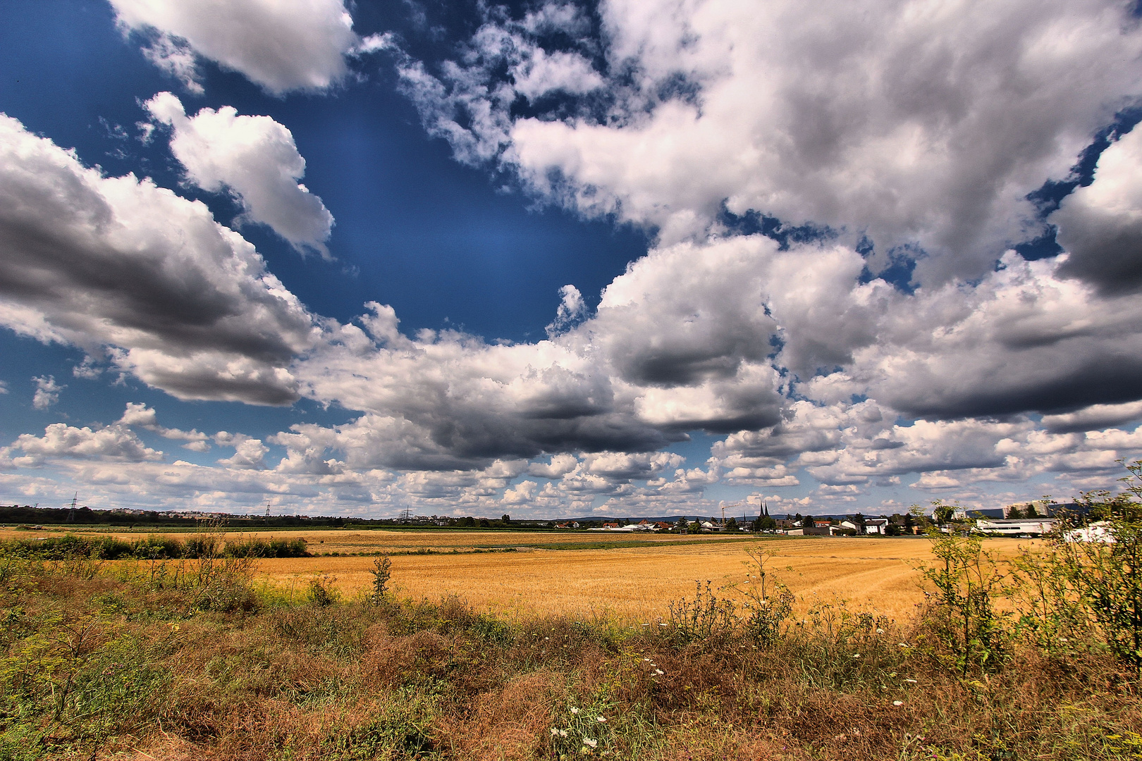 Sommer über Rheinhessen