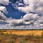 Sommer über Rheinhessen