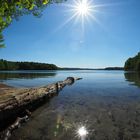 Sommer überspringt Frühling