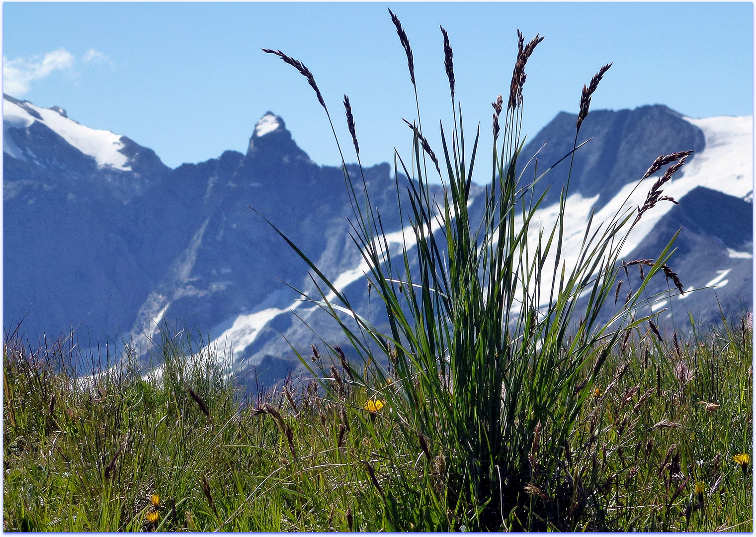 Sommer und Eis