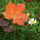 Sommer und Herbst