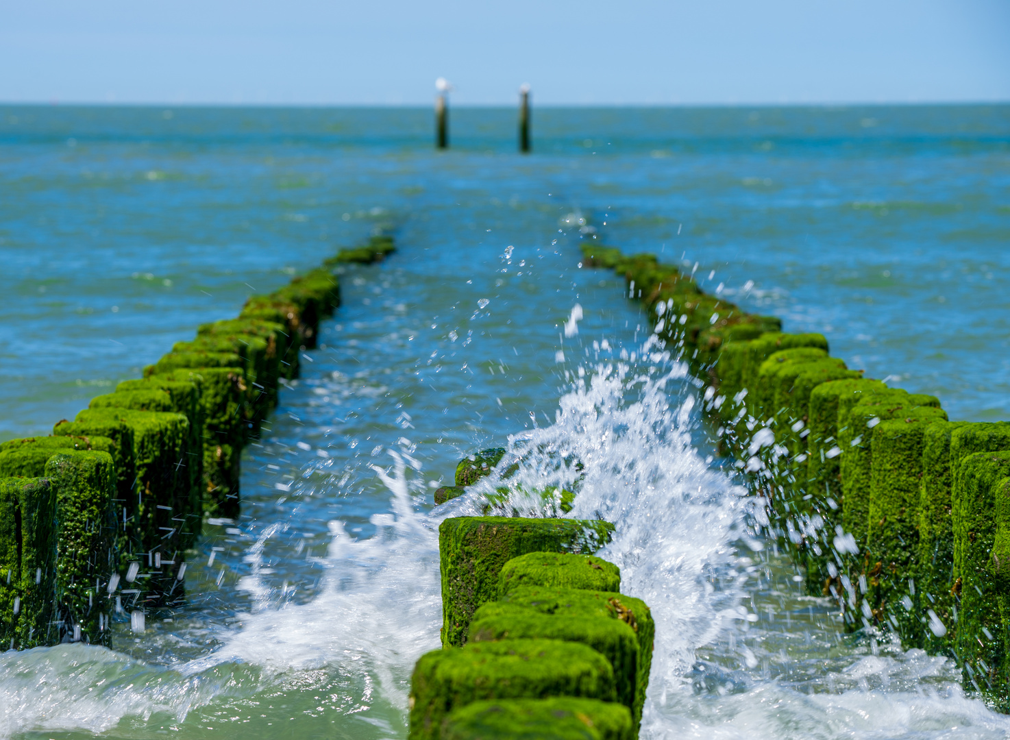 Sommer und Meer