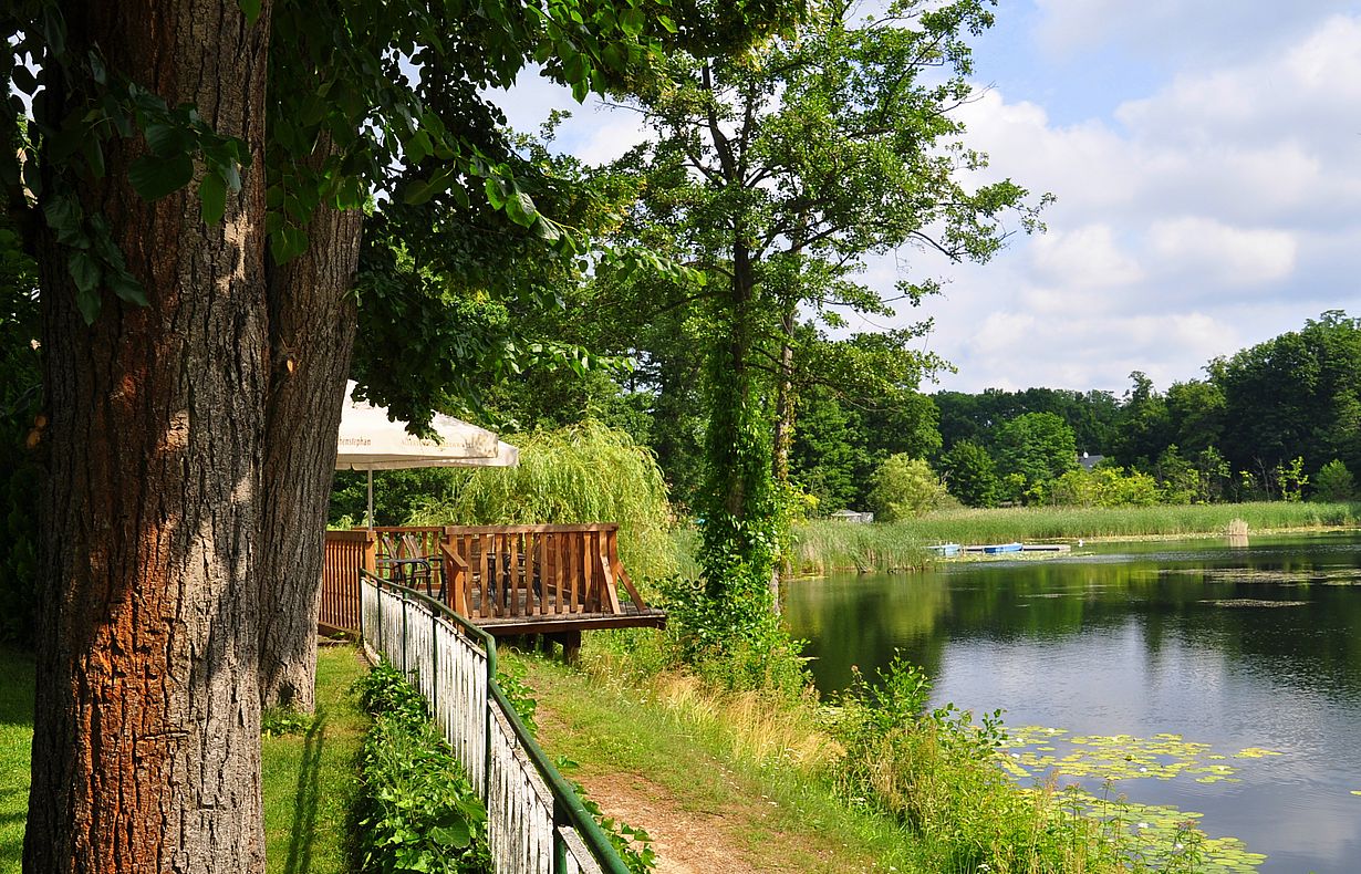 Sommer und Sonnenschein