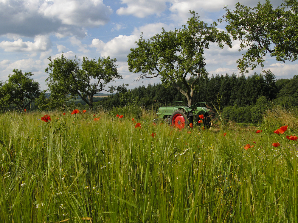 Sommer und Trecker