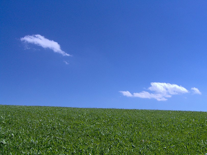 Sommer und Wiesen - wann kommt ihr?