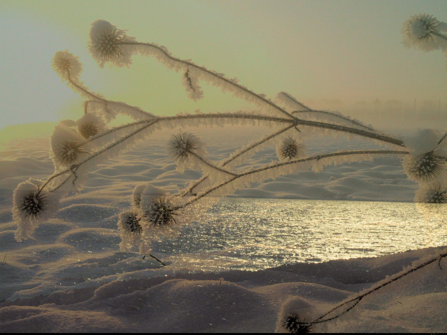 Sommer und Winter