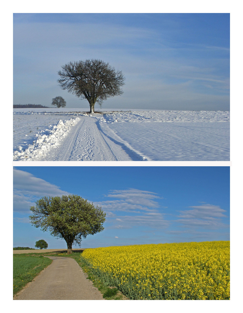 Sommer und Winter Foto & Bild jahreszeiten, landschaft, natur Bilder