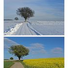 Sommer und Winter