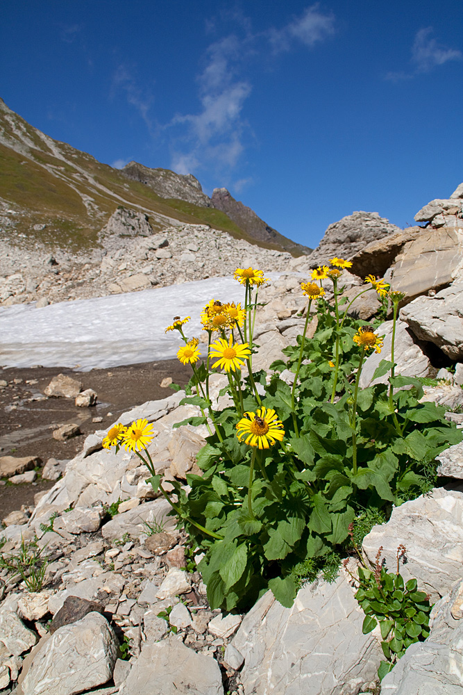 Sommer und Winter zugleich