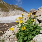 Sommer und Winter zugleich