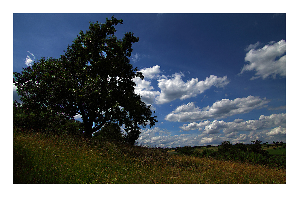 Sommer vor der Tür