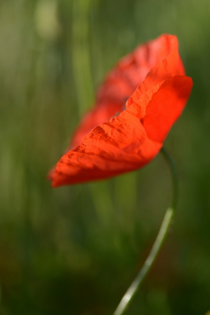 sommer vorbei