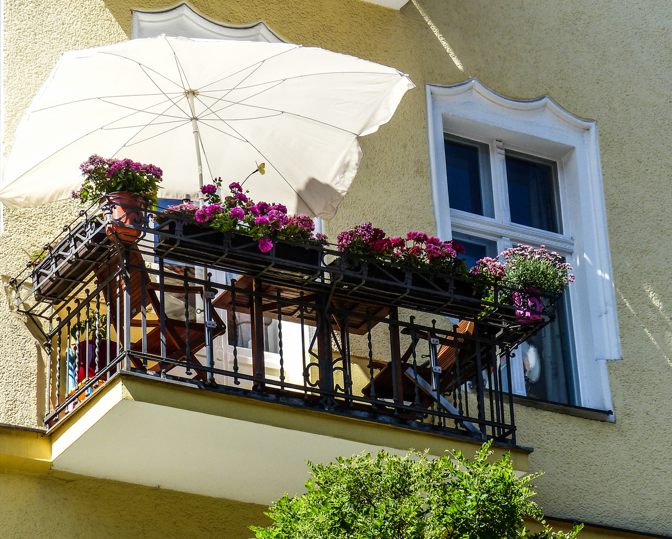 Sommer vorm Balkon