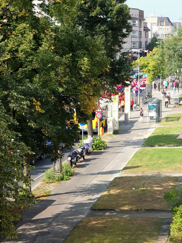 Sommer vorm Balkon II