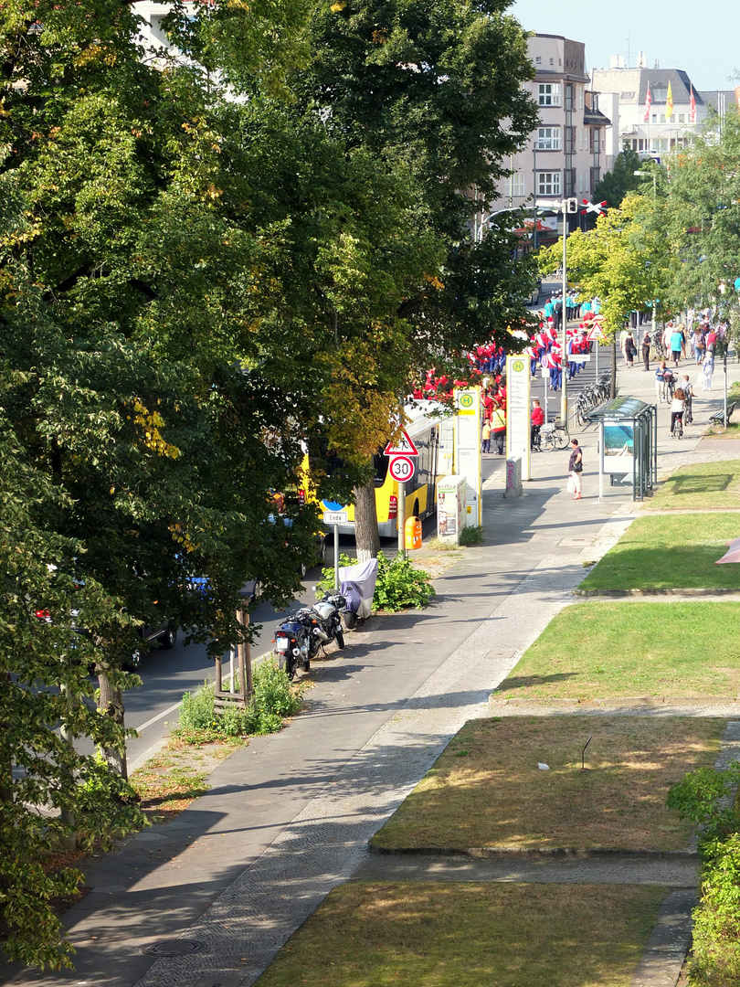 Sommer vorm Balkon II