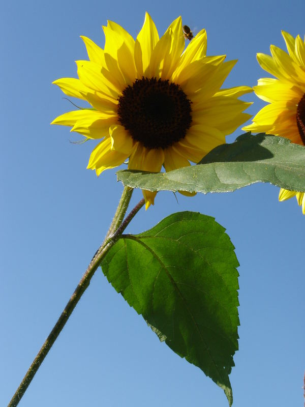 sommer wär schön! :)