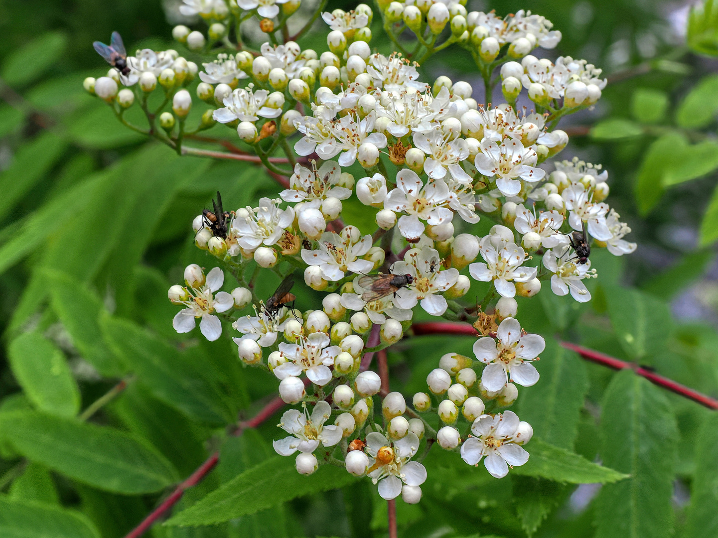 Sommer war´s