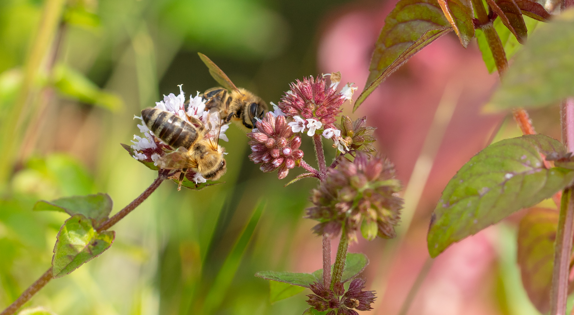 Sommer war´s