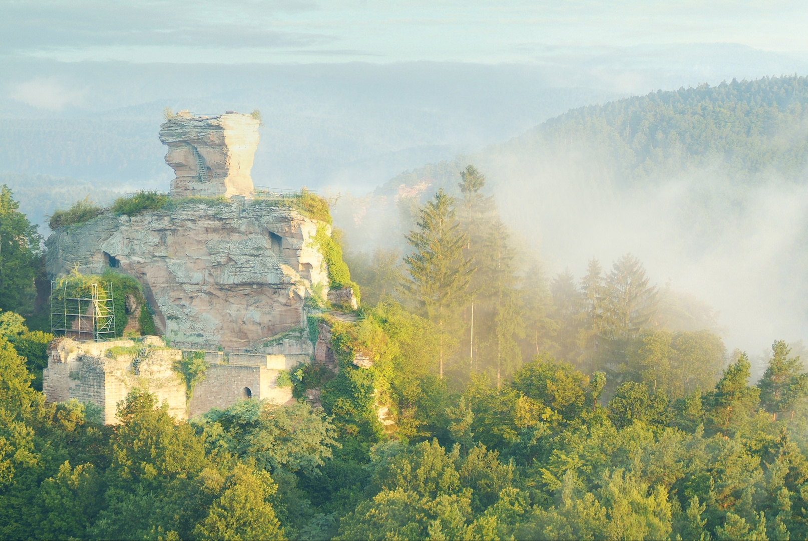 sommer weckt den herbst