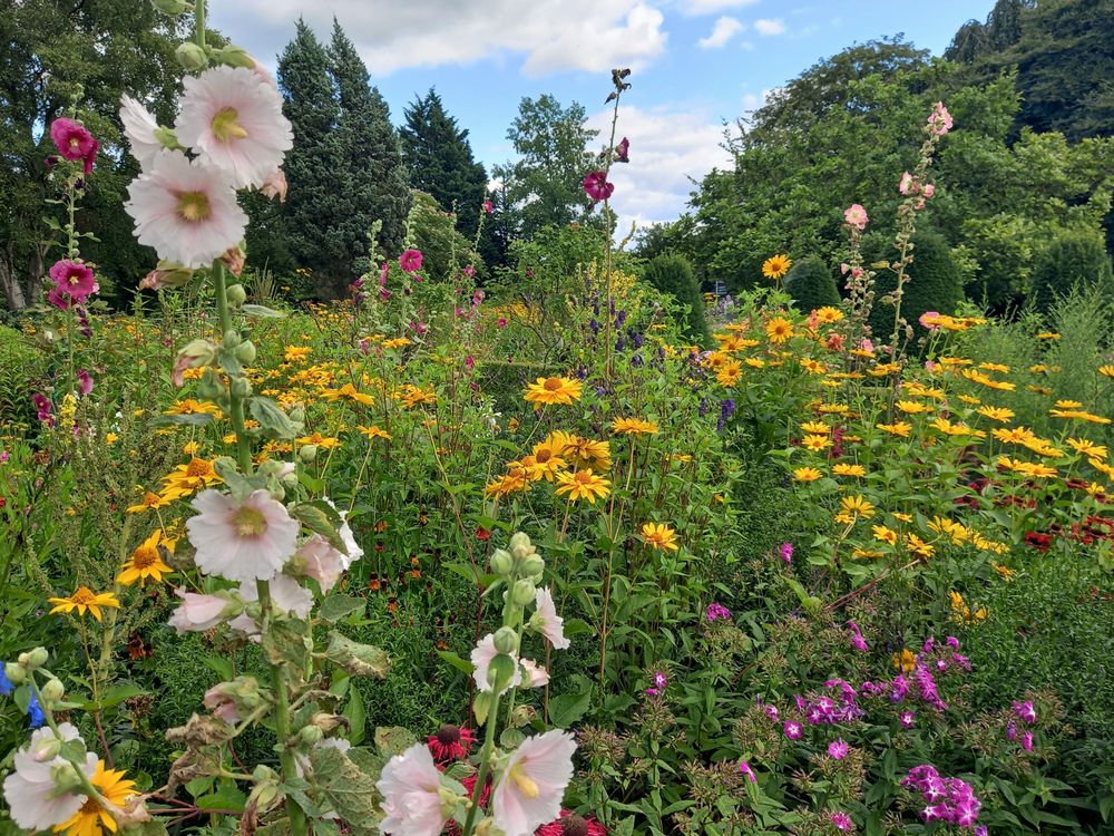 Sommer - wie ich ihn mag