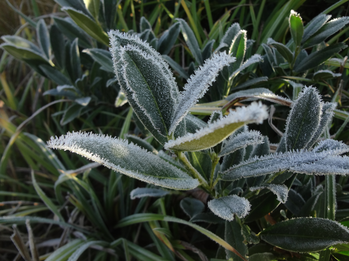 sommer - winter