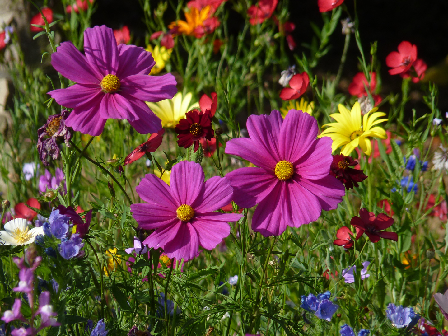 Sommer-Wochenendfeeling