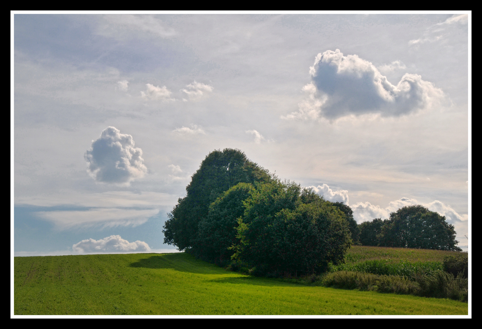 Sommer-Wölkchen