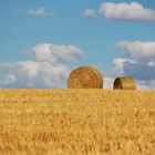 Sommer Zeit ist Erntezeit