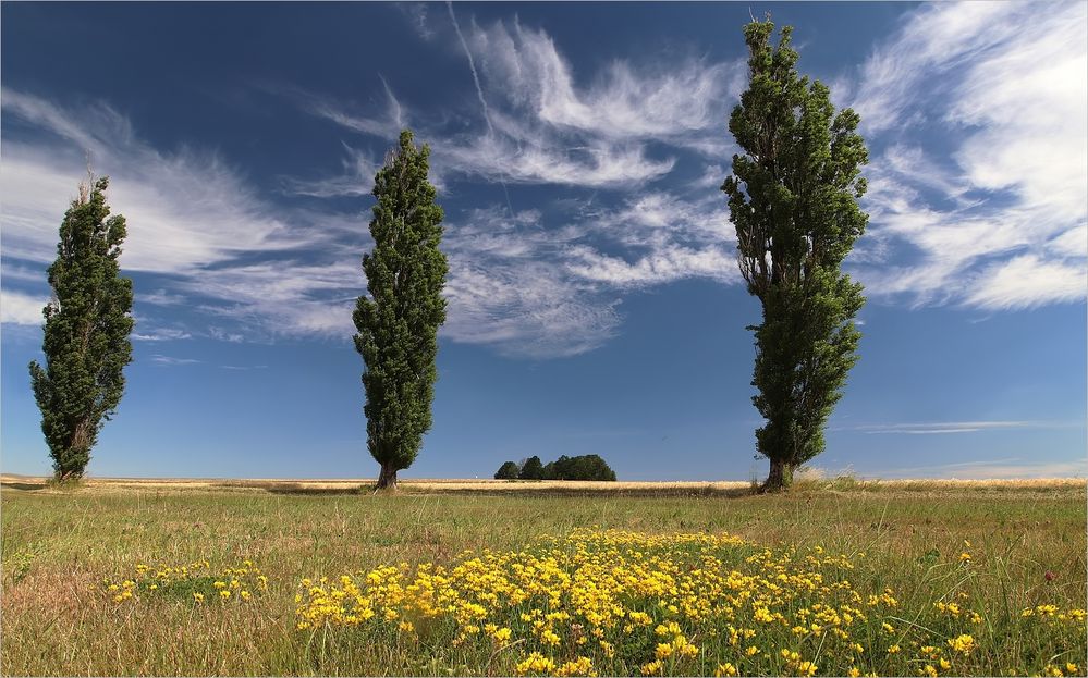 Sommer zuHause