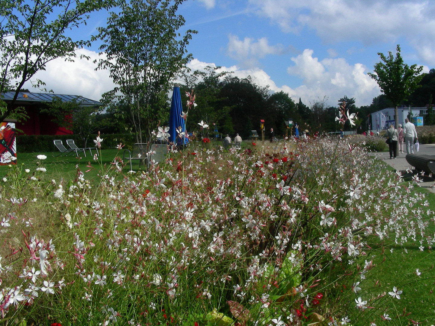 Sommer2015- bald Vergangenheit