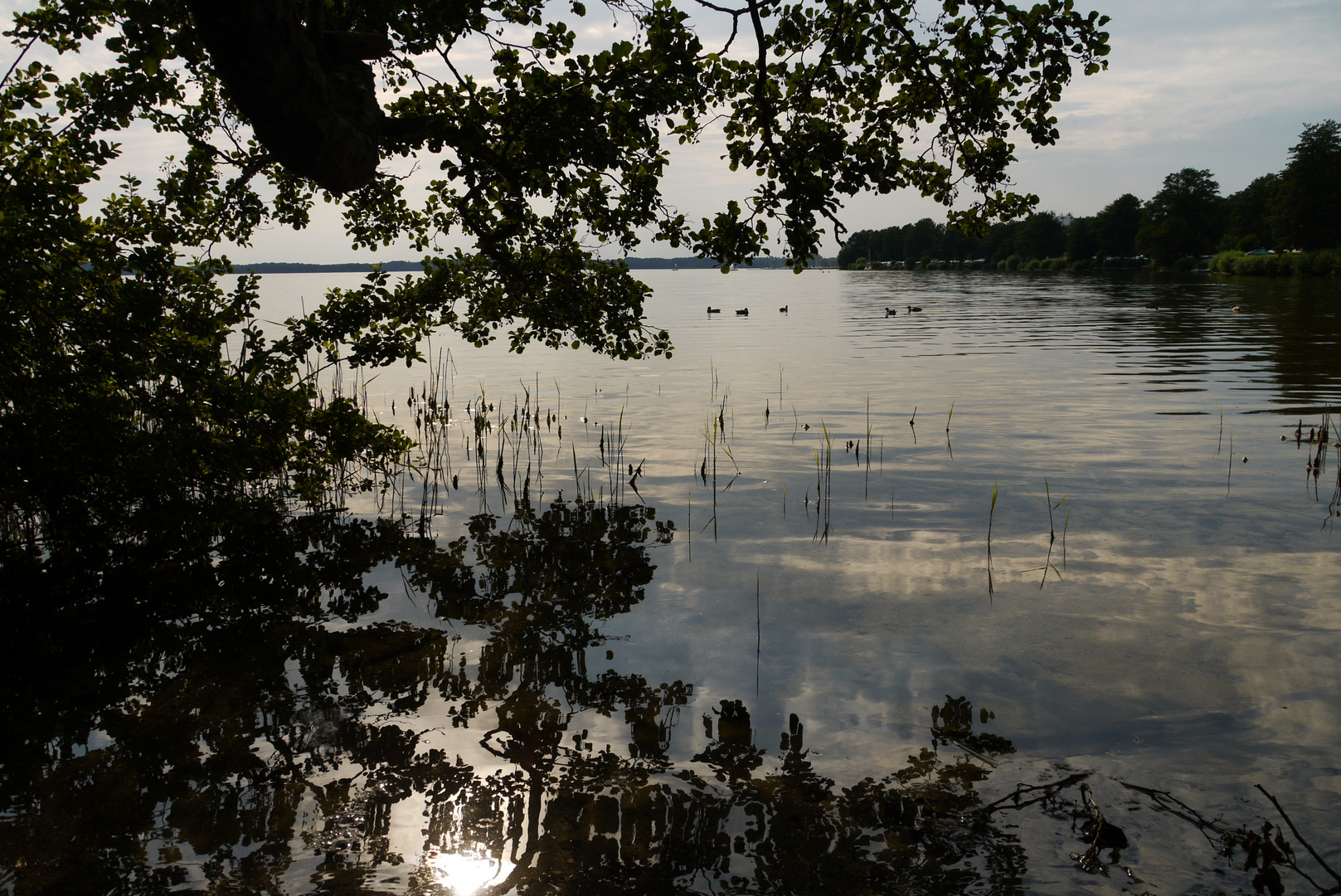 Sommerabend