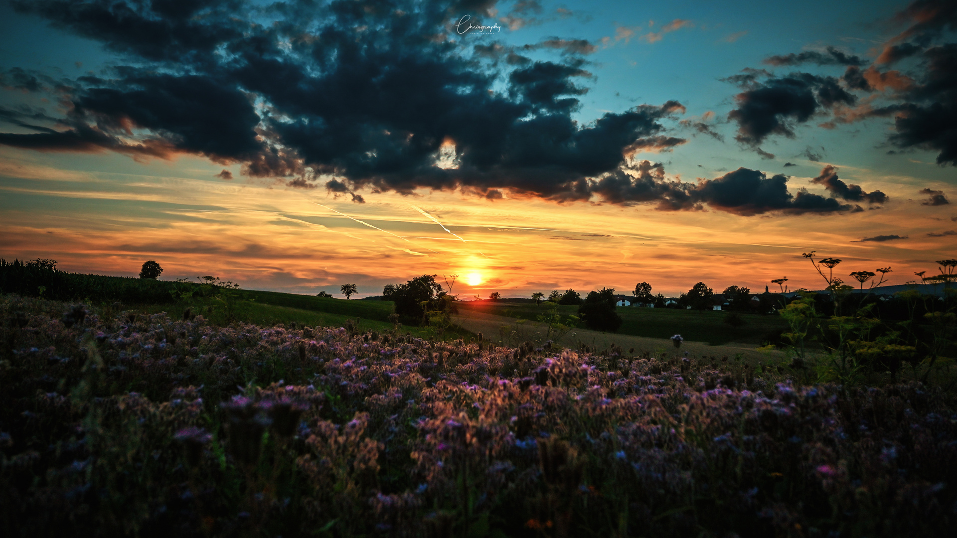 Sommerabend