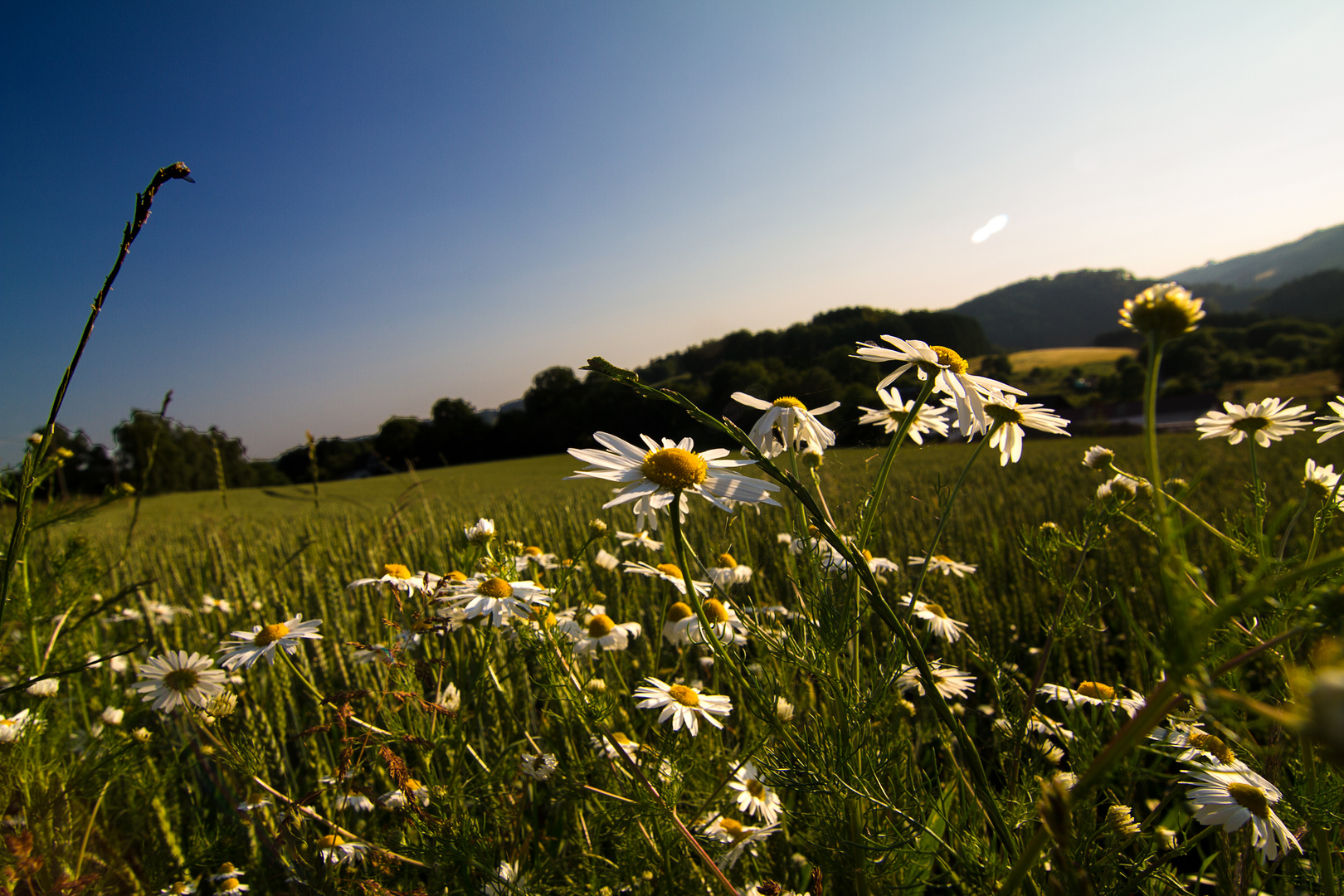 Sommerabend