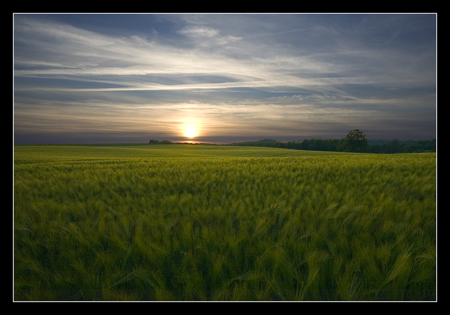 Sommerabend