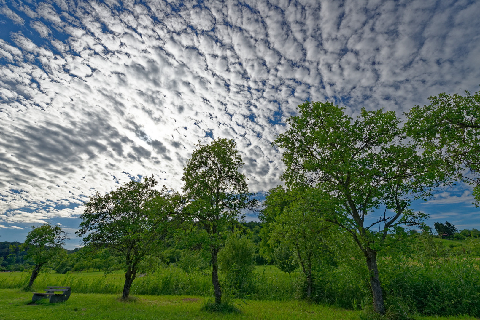 Sommerabend