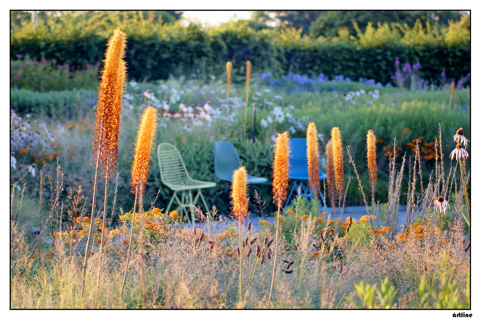 Sommerabend 