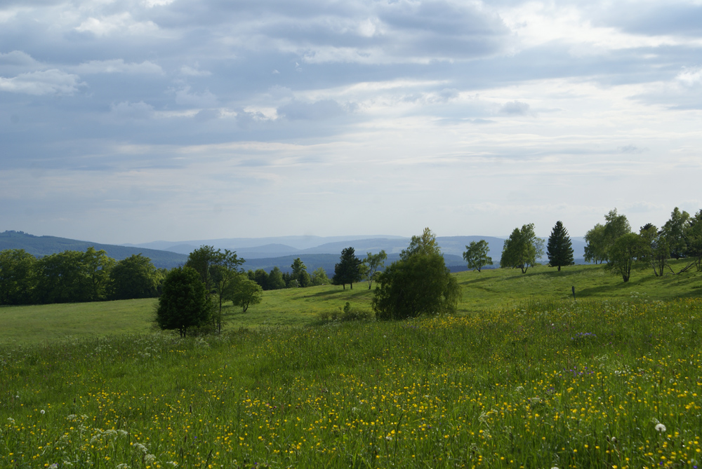 Sommerabend