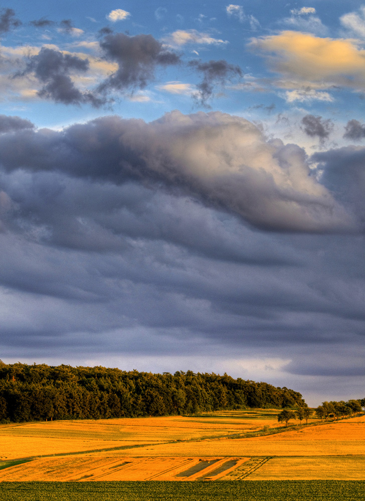 Sommerabend