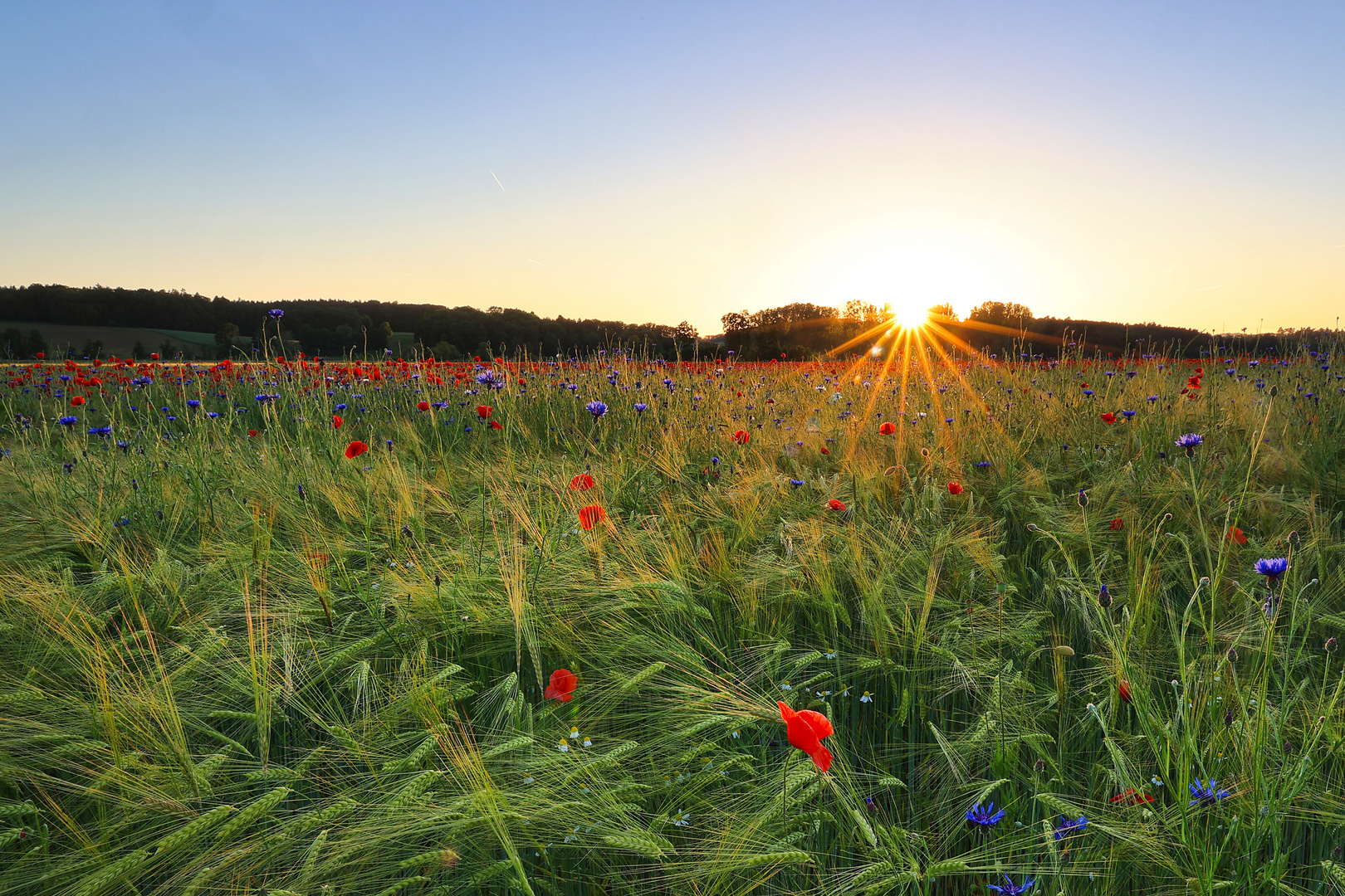 Sommerabend