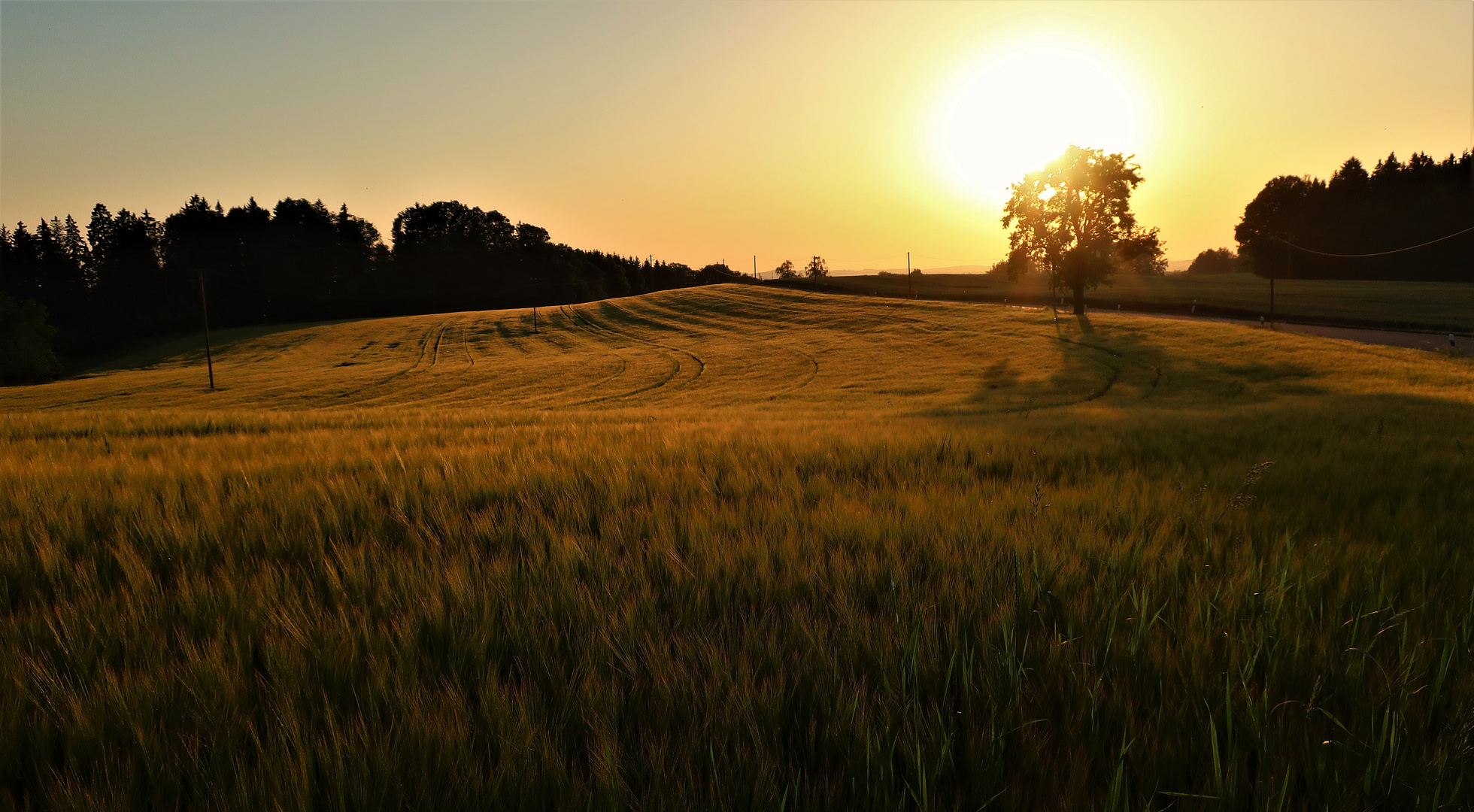 Sommerabend.